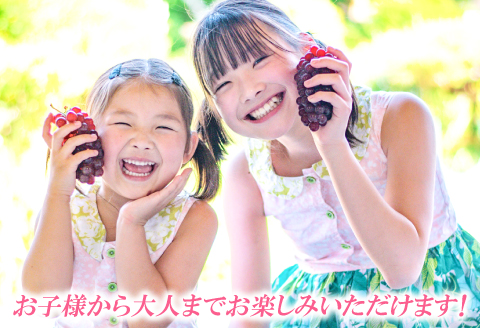 A-164 益田産デラウェア