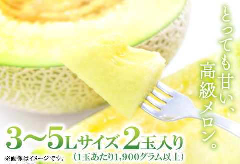 A-167 益田産アールスメロン（2玉入り）【秋作】