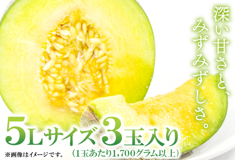 A-169 益田産アムスメロン　特大5Lサイズ（3玉入り）