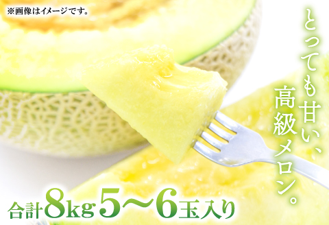B-161 益田産アールスメロン8kg（5～6玉入り）【夏作】