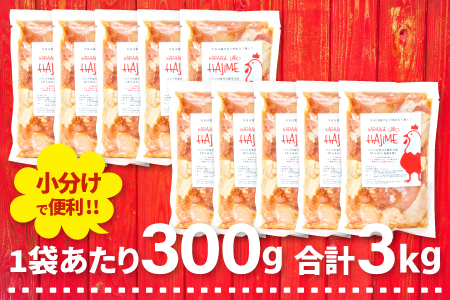 B-1061 ハジメのからあげ　秘伝ダレの下味付き鶏モモ肉（300g×10袋）【鶏肉 もも肉 唐揚げ にんにく醤油 冷凍 揚げ物 お弁当 運動会 バーベキュー BBQ ホームパーティ 300g×10袋 肉 若鶏もも肉 下味付き】