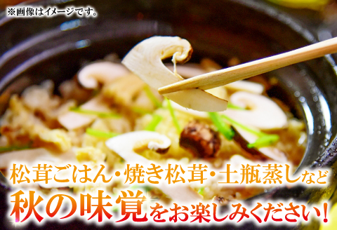 F-951 国産まつたけ　500ｇ