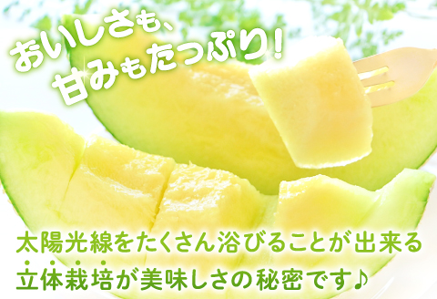 B-999 【先行予約】めっちゃ甘いアムスメロン4～5玉【メロン 先行予約 アムス めろん 早期予約 季節限定 期間限定 果物 フルーツ お土産 プレゼント 贈り物 ご褒美 贅沢】