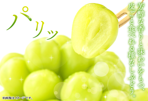 D-524 【先行予約】甘くて美味しい シャインマスカット 5kg（6～12房）【ぶどう 先行予約 ぶどうシャインマスカット シャインマスカット しゃいんますかっと 葡萄 ブドウ マスカット 5.0kg 6房～12房 種なし たねなし 皮ごと 大粒 紙袋付き おすそわけ 期間限定 季節限定 8月中旬～9月下旬発送】