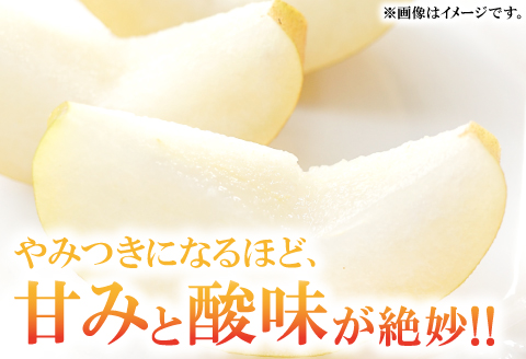 A-935 赤梨 2㎏(幸水梨・豊水梨・新高梨・新興梨)【梨 先行予約 赤梨 2kg 詰め合わせ セット 幸水梨 豊水梨 新高梨 新興梨 なし 果物 くだもの フルーツ 季節限定 期間限定 ギフト 贈り物】