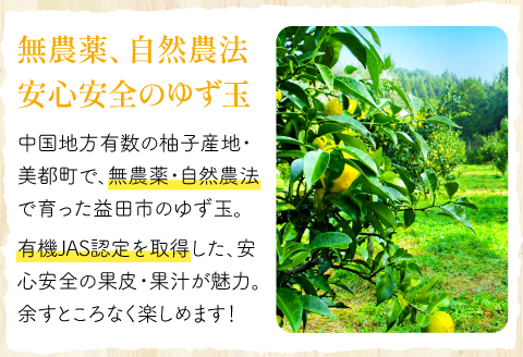 A-78 【有機JAS認定】無農薬ゆず玉　5kg