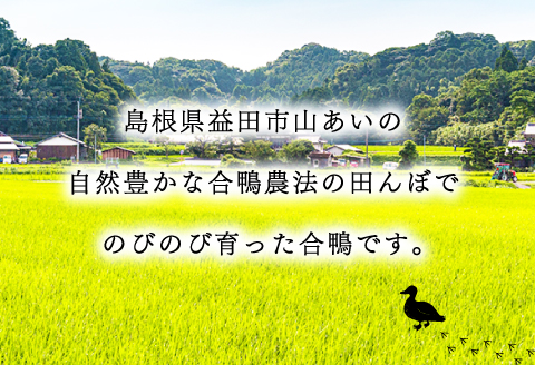 A-868 	田んぼで育ったアイガモ肉丸ごと1～2羽分(700ｇ以上)【合鴨肉 1～2羽分 700g以上 冷凍 むね肉 もも肉 ささみ ブロック肉 鴨肉 鴨 カモ 鴨焼き 鍋 鴨そば 鴨南蛮 数量限定】