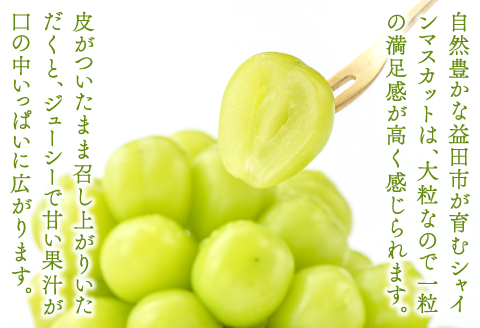 B-542 【先行予約】 シャインマスカット　2房【ぶどう シャインマスカット 種なし 先行予約 しゃいんますかっと 2房 たねなし 皮ごと 大粒 期間限定 季節限定】