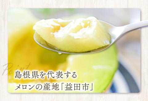 A-16 アールスメロン　秀品　大玉1玉【秋作】