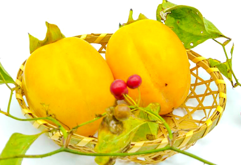 A-939 益田産　最上級の甘さの西条柿 3kg入り