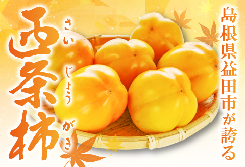 A-321 ぶち甘い西条柿 5kg