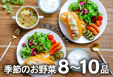 A-792 新鮮！季節のお野菜と平飼い卵のセット（8～10品）【野菜 やさい 旬の野菜 季節の野菜 おまかせ 新鮮 8～10品 卵 たまご 平飼い卵 6個 破損保証 2個 詰め合わせ セット 冷蔵】