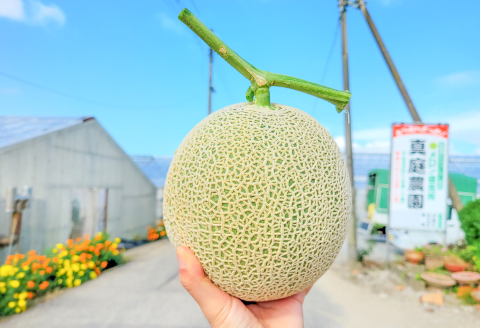 A-1082 【秋作】赤肉アールスメロン　2玉入り