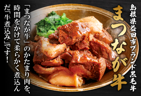 A-1133 まつなが牛を食らう！「わしのまつなが牛煮込み」・「まつなが牛カレー（２個）」セット【牛煮込み まつなが牛 松永牛 牛肉 煮込み カレー 中辛 ブランド黒毛牛 黒毛牛 セット 詰め合わせ 夕飯 おかず おつまみ 昼食 レトルト インスタント 簡単調理 時短】