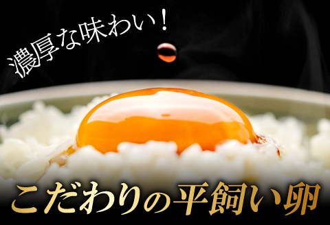 A-791 大久保さんちの元気たまご 平飼い 40個【卵 平飼い とれたて卵 破損保証8個 抗生物質不使用 安心 安全 新鮮 冷蔵 常温】