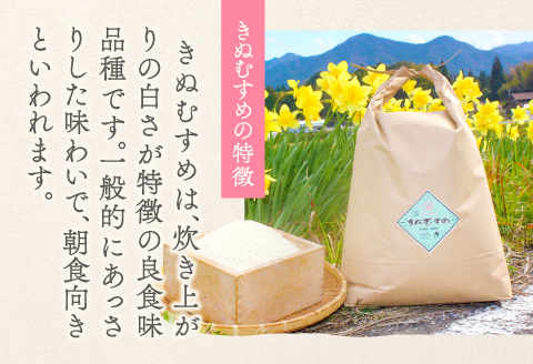 A-1139 【使い切りサイズ】横尾衛門のきぬむすめ 白米2合(300ｇ)×6袋【新米 先行予約 米 お米 白米 精米 ブランド米 きぬむすめ 絹娘 小分け 使い切り おにぎり お弁当】