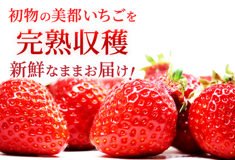 A-696 【初物！農家直送】美都いちご（350g×2パック）