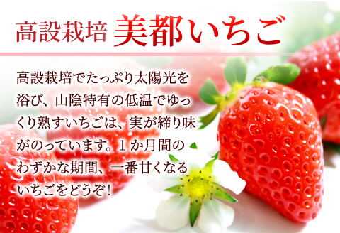 A-330 【農家直送！】完熟いちご（350g×3パック）・いちごジャムセット（150g）【先行予約 いちご イチゴジャム 甘い 2月発送 果物 フルーツ 苺 イチゴ ストロベリー あまい いちごジャム 紅ほっぺ かおりの よつぼし おいCベリー 350g×3パック 新鮮 完熟収穫 加工食品 ジャム 無添加 150g 冷蔵 期間限定 季節限定 早期予約】
