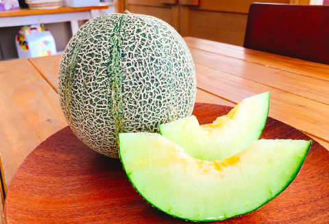 C-1163 糖度14度以上のアムスメロンとデラウェアのセット【先行予約 メロン デラウェア 数量限定 糖度14度以上 アムスメロン 秀品 2玉 1kg 5～6房 セット 早期予約 季節限定 期間限定 果物 くだもの フルーツ お土産 プレゼント 贈り物 贈答 ギフト 詰め合わせ】