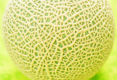 A-1158 【先行予約】［夏作］大玉アールスメロン 5Lサイズ 1玉【先行予約 メロン めろん 1玉 早期予約 期間限定 季節限定 果物 くだもの フルーツ アールスメロン 大玉 5L 青肉 7月発送】