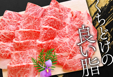 B-288 松永和牛 A5ランク 焼肉セット 400g【牛肉 焼肉 黒毛和牛 リブロース ロース 赤身 焼肉用 冷凍 和牛 肉 にく 松永和牛 まつなが牛 松永牛 A5ランク A5 400g お祝い ご褒美 贅沢 特別な日 ご馳走 パーティー セット 松永牧場】