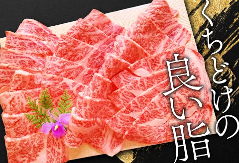 C-291 A5ランク 松永和牛 焼肉用 500g【牛肉 焼肉 黒毛和牛 リブロース 赤身 冷凍 贅沢 やきにく 焼肉用 500g 肉 和牛 松永和牛 まつなが牛 A5ランク A5 お祝い ご褒美 特別な日 ご馳走 パーティー セット 松永牧場】