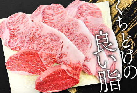 E-297 松永和牛 A5ランク　ステーキ 贅沢 セット【黒毛和牛 豪華 サーロインステーキ 3枚×200g ヒレステーキ 2枚×200g 計1kg ご褒美 贅沢 牛肉 和牛 松永和牛 まつなが牛 A5ランク ステーキ 肉 冷凍 お祝い 特別な日 ご馳走 松永牧場】