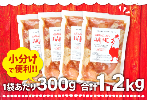 A-338 ハジメのからあげ　秘伝ダレの下味付き鶏モモ肉（300g×4袋）【唐揚げ にんにく醤油 冷凍 揚げ物 お弁当 運動会 バーベキュー BBQ ホームパーティ 300g×4袋 肉 鶏肉 若鶏もも肉 下味付き】