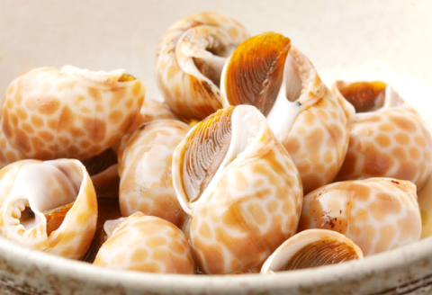 A-1042 日本海の新鮮ばい貝　1kg【魚介類 魚貝類 貝類 バイ貝 1kg 新鮮 日本海 おつまみ 煮付け バター焼き 酒蒸し 刺身 高タンパク 低脂肪 冷蔵】