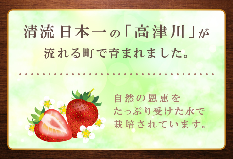 A-1064 朝採れ　いちご 1.4kg（350g×4パック）【先行予約 いちご 果物 フルーツ 苺 イチゴ 1.4kg 350g 4パック 朝採れ 新鮮 ジューシー 冷蔵 期間限定 季節限定 早期予約】