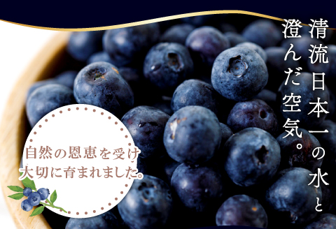 A-1221 冷凍ブルーベリー【ブルーベリー ぶるーべりー 1kg 冷凍 冷凍ブルーベリー 果物 くだもの フルーツ 産地直送 期間限定 季節限定 早期予約】