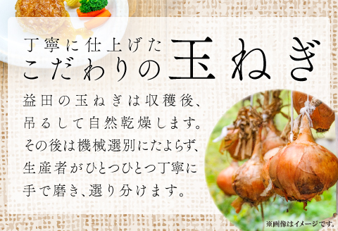 A-325 益田市特産『手磨き玉ねぎ』【先行予約 期間限定 季節限定 早期予約 野菜 やさい たまねぎ タマネギ 玉葱 10kg 数量限定】