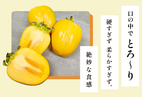 A-633 特選大玉西条柿12玉