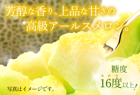 B-1009 【先行予約】[夏作] 糖度厳選プレミアム　アールスメロン2玉【メロン 糖度16度以上 夏作 先行予約 早期予約 季節限定 期間限定 果物 フルーツ めろん プレゼント 贈り物 ご褒美 贅沢】