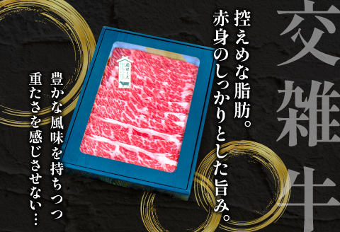 B-1198 松永牧場牛（交雑牛）肩ロース すき焼き 500g【まつなが牛 交雑牛 国産 牛肉 肩ロース すきやき 500g 1パック 贈答 ギフト 美味しまね認証】