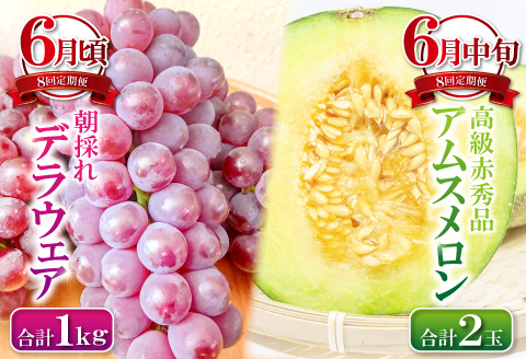 E-635 【定期便】益田市四季の旬果定期便 8種【フルーツ 定期便 果物 くだもの 先行予約 期間限定 数量限定 季節限定 早期予約 デラウェア 葡萄 ぶどう ブドウ アムスメロン アールスメロン 巨峰 シャインマスカット 梨 なし 西条柿 いちご 苺 イチゴ】