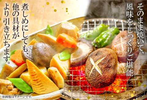 A-534 森の香り豊かな『美都の原木栽培生しいたけ』（700～800g）【先行予約 野菜 きのこ キノコ 椎茸 しいたけ シイタケ 生しいたけ 700～800g 15～20枚 原木栽培 期間限定 季節限定 早期予約 冷蔵】