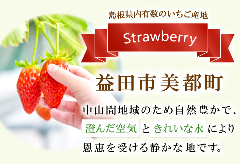 A-27 【先行予約】美都いちご（ギフトBOX）【いちご 2月発送 完熟 果物 くだもの フルーツ 苺 イチゴ ストロベリー 美都いちご 平2パック 大粒 ギフト ギフトボックス入り 冷蔵 先行予約 期間限定 季節限定 早期予約】