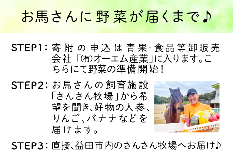 A-571 【思いやり型返礼品】引退競走馬に野菜支援【支援 野菜 果物 フルーツ 10kg相当 馬の好物 人参 バナナ さつまいも りんご 思いやり型返礼品 寄贈型 あしなが型 馬 引退競走馬 セカンドキャリア ホースセラピー 乗用馬 サラブレッド ディープインパクト産駒 マンハッタンカフェ産駒 ハービンジャー産駒 シビルウォー産駒