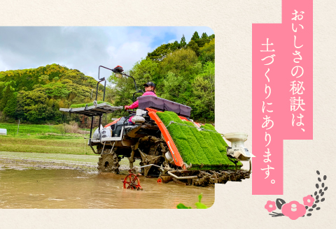 B-1094 横尾衛門のきぬむすめ 玄米 20kg【新米 先行予約 米 お米 玄米 ブランド米 きぬむすめ 20kg 1袋】