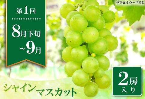 C-861 【先行予約】益田自慢のくだもの定期便(3回コース)【先行予約 期間限定 季節限定 定期便 定期 3回 果物 フルーツ ぶどう マスカット シャインマスカット しゃいんますかっと 2房 種なし たねなし 皮ごと メロン めろん アールスメロン マスクメロン 2玉 いちご イチゴ 2パック 冷蔵】
