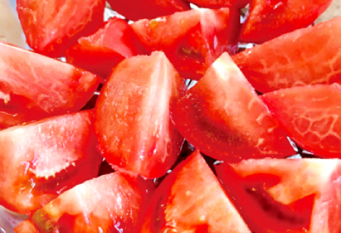 A-804 熟感トマトさひめ 4kg（20玉）【野菜 やさい トマト とまと 熟感トマト 桃太郎ヨーク 4kg 20玉 パスタ 煮込み 炒め物 日持ち 期間限定 季節限定 9月～3月発送】