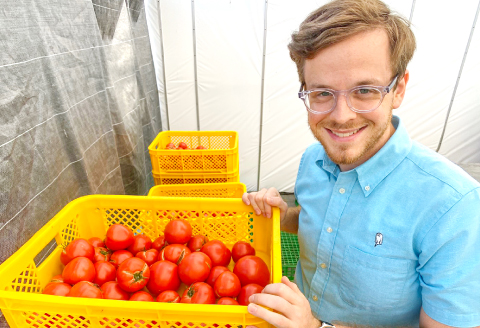 A-805 熟感トマトさひめ 4kg（24玉）【野菜 やさい トマト とまと 熟感トマト 桃太郎ヨーク 4kg 24玉 パスタ 煮込み 炒め物 日持ち 期間限定 季節限定 9月～3月発送】