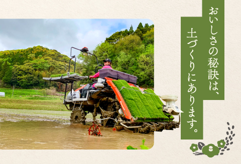 C-1111 【定期便】横尾衛門のつや姫 玄米 5kg×6回コース【新米 定期便 定期 6回 米 お米 玄米 特別栽培米 低農薬 低化学肥料 ブランド米 つや姫 5kg×6回 合計30kg】