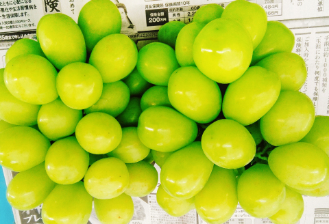 C-289 【先行予約】大粒 シャインマスカット　2kg【シャインマスカット 先行予約 ぶどう 2kg しゃいんますかっと マスカット 種なし たねなし 皮ごと 大粒 期間限定 季節限定 7月下旬～8月下旬発送】