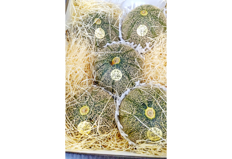 C-528 【先行予約】特選アムスメロン 5kg（4～5玉）糖度16度以上【特選 アムスメロン 5kg 4～5玉 糖度 16度以上 高糖度 季節限定 期間限定 果物 フルーツ お土産 プレゼント 贈り物 贈答 ギフト ご褒美 贅沢 メロン】