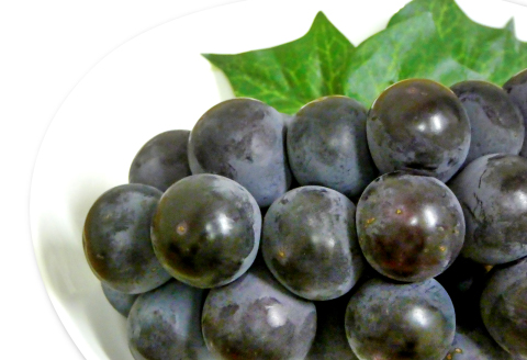 B-285 おいしいシャインマスカットと種なしピオーネ