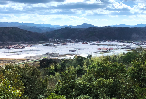 A-538 今が旬！新鮮野菜セット（8品目以上）【野菜 8品以上 旬の野菜 新鮮 お楽しみ 詰め合わせ セット 冷蔵】