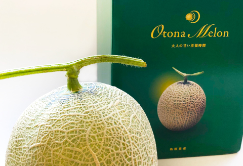 A-549 【先行予約】特別大きな赤肉アールスメロン 1玉（2kg以上）【メロン めろん 先行予約 赤肉 期間限定 季節限定 果物 フルーツ マスクメロン アールスメロン 特大 1玉 2kg以上】