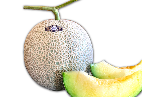 B-643 糖度14度以上のアールスメロン秀品1玉と大玉西条柿12玉のセット